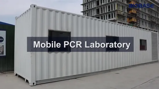 Sistema de PCR quantitativo em tempo real de fluorescência Biobase China Rt para laboratórios